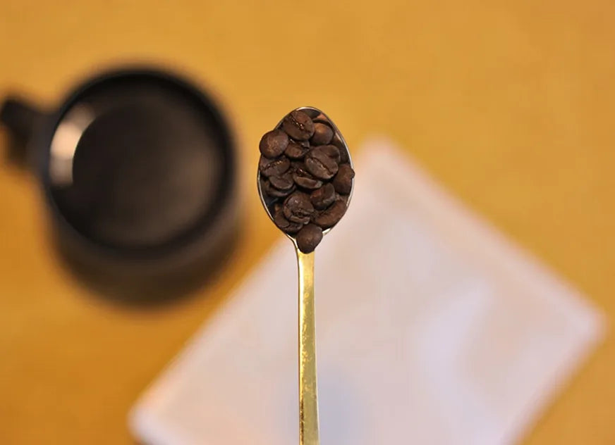 Understanding Coffee Bean Origins